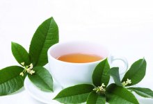 养生茶变毒药的9种禁忌