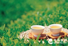 绿茶的功效 常喝绿茶更聪明 六类情况可以落户北京“公共户”